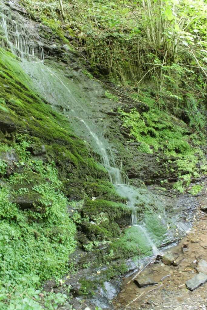 Waterval over begroeide rotsen in het Dortebachtal bij Klotten