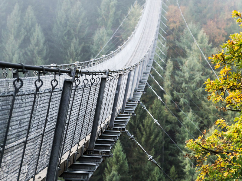 De Geierlay hangbrug boven een bebost dal